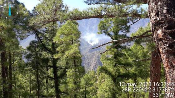 caldera brann 130523_ la Palma