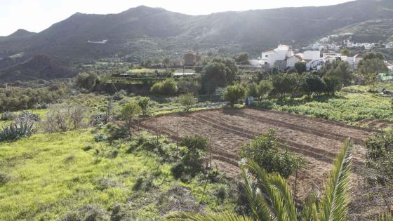 Nypløyd åker på Gran Canaria. 