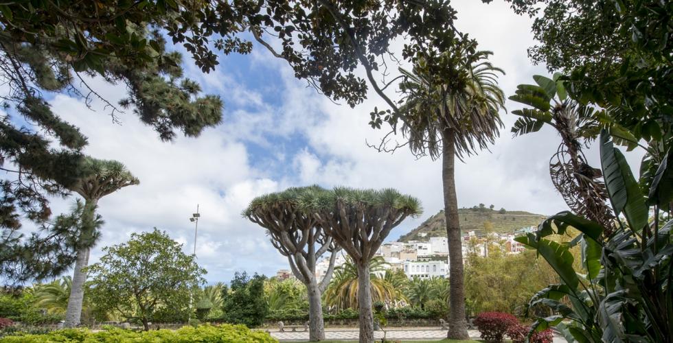 Parque de Las Flores i Arucas, Gran Canaria