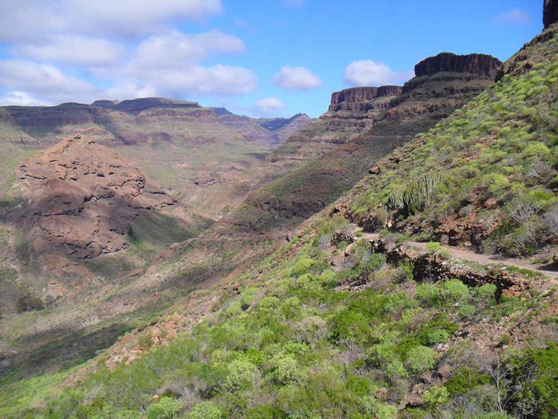 Barranco Tauro Barranco Tauro