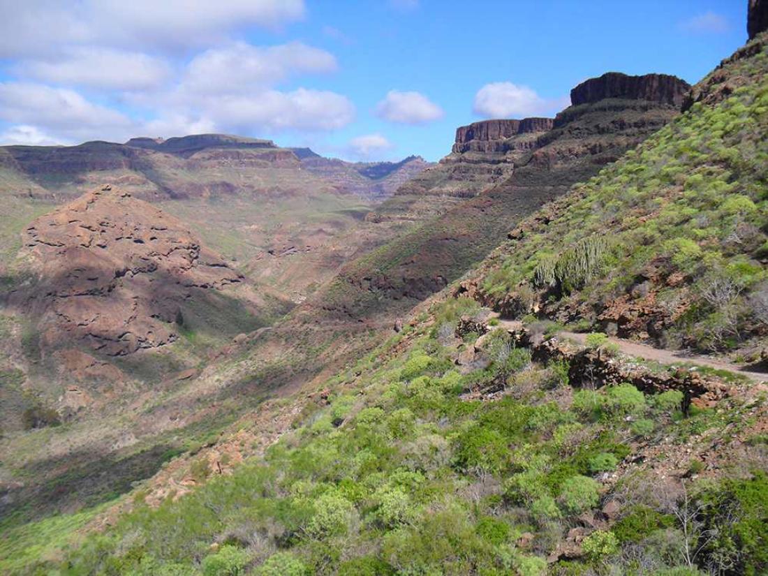 Barranco Tauro