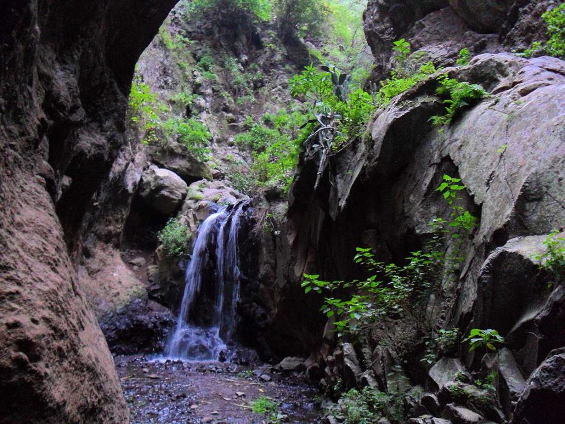 Barranco de Los Cernicalos Barranco de Los Cernicalos