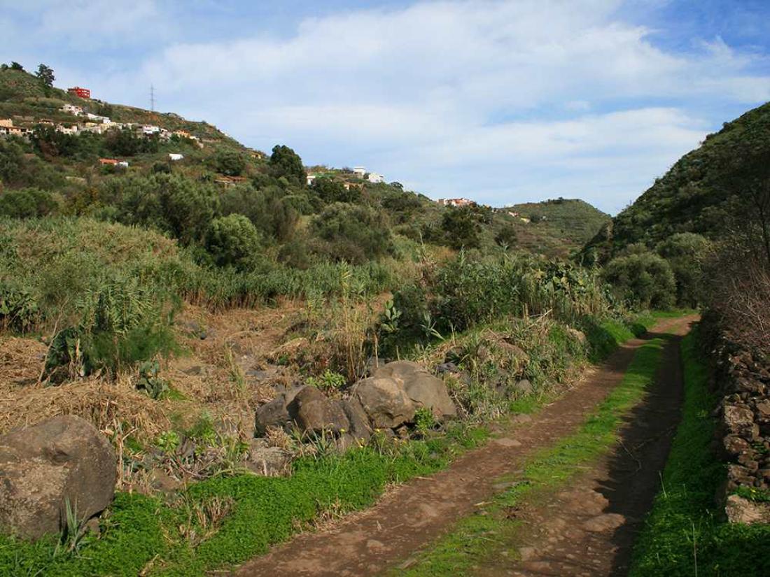 Barranco Alonso Barranco Alonso