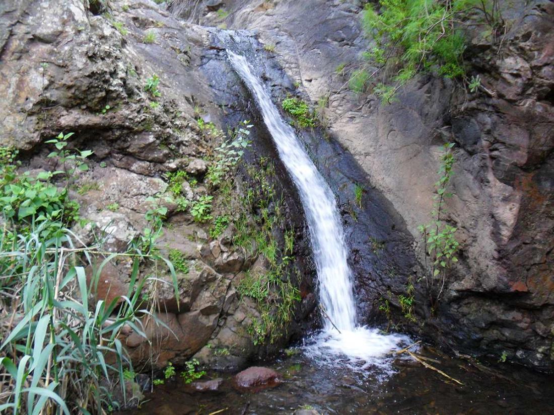 Barranco de Los Cernicalos Barranco de Los Cernicalos