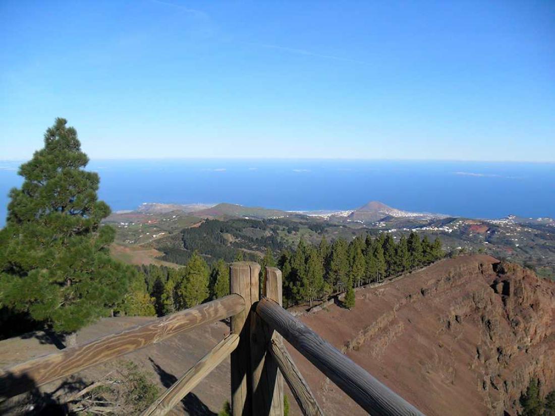 Mirador Pinos de Gáldar Mirador Pinos de Gáldar