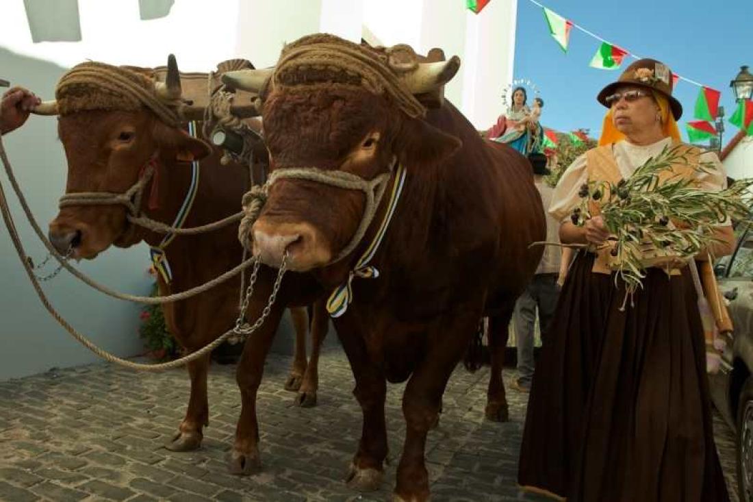 Romeria Laboral, Santa Lucia Romeria Laboral, Santa Lucia