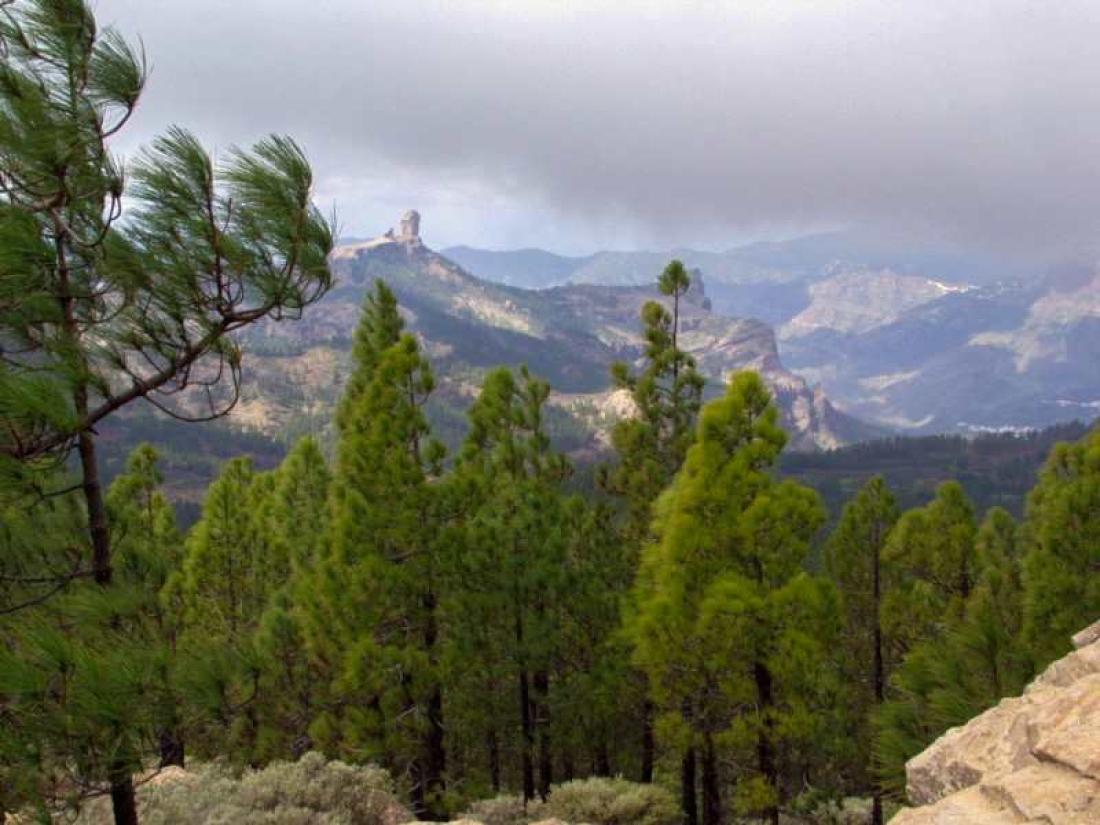 Roque Nublo Roque Nublo