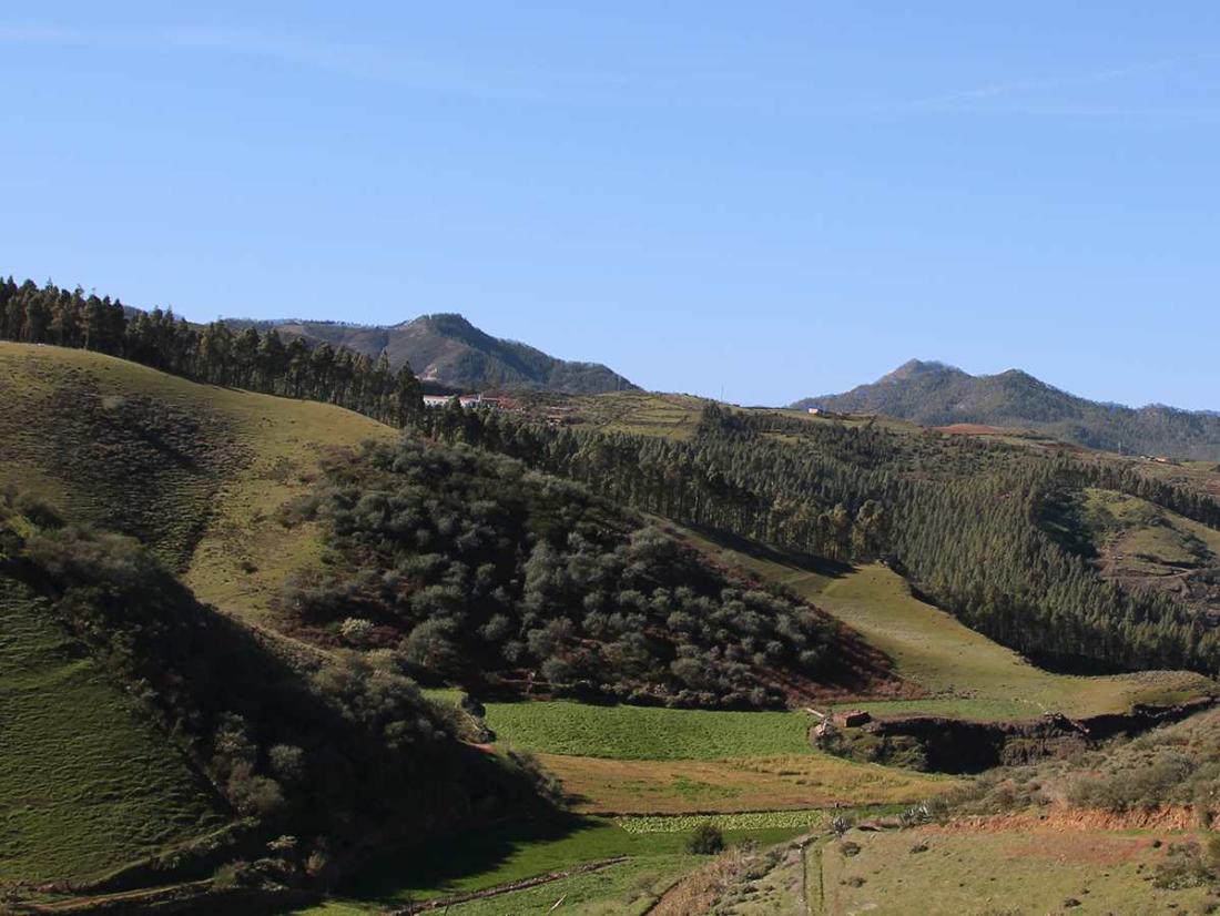 Skog og åser i nordvest