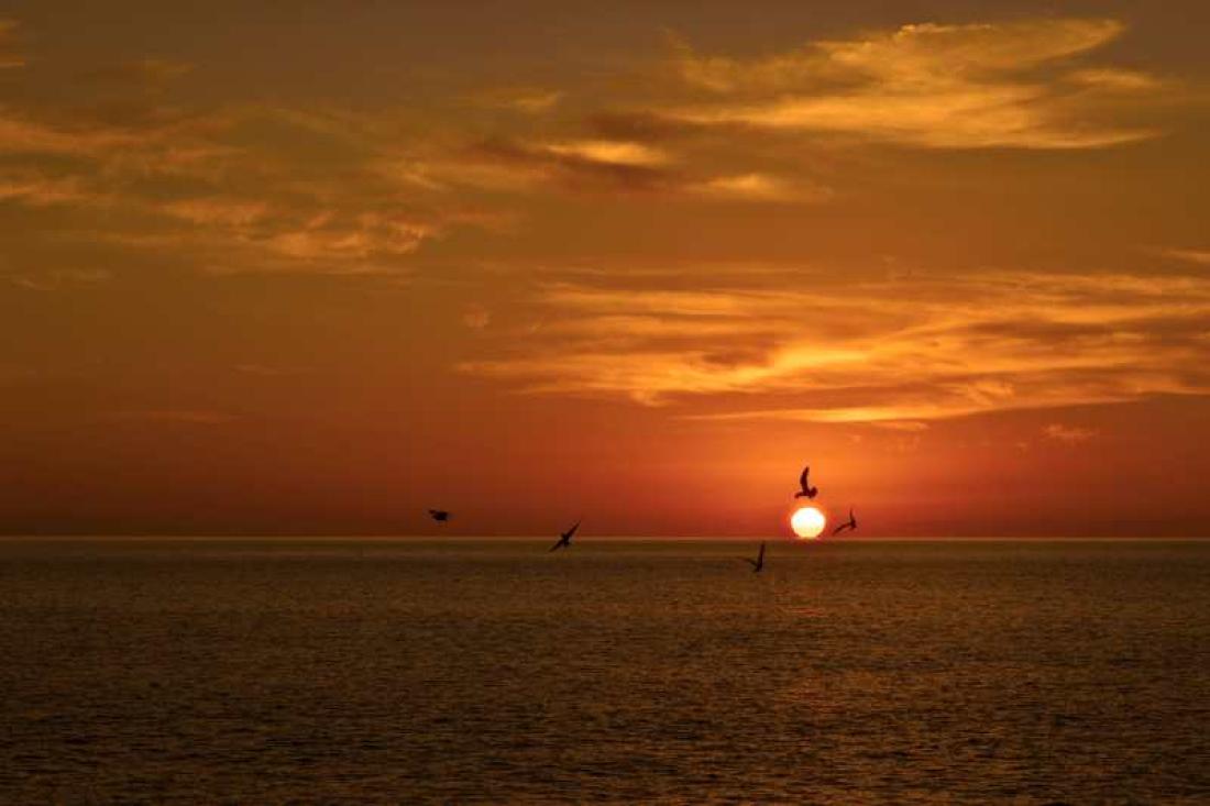 Solnedgang, Puerto de Mogan Solnedgang, Puerto de Mogan