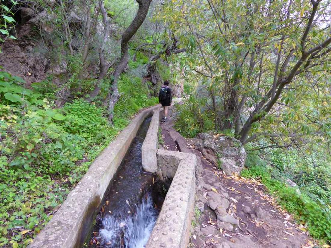 Barranco de Los Cernicalos Barranco de Los Cernicalos