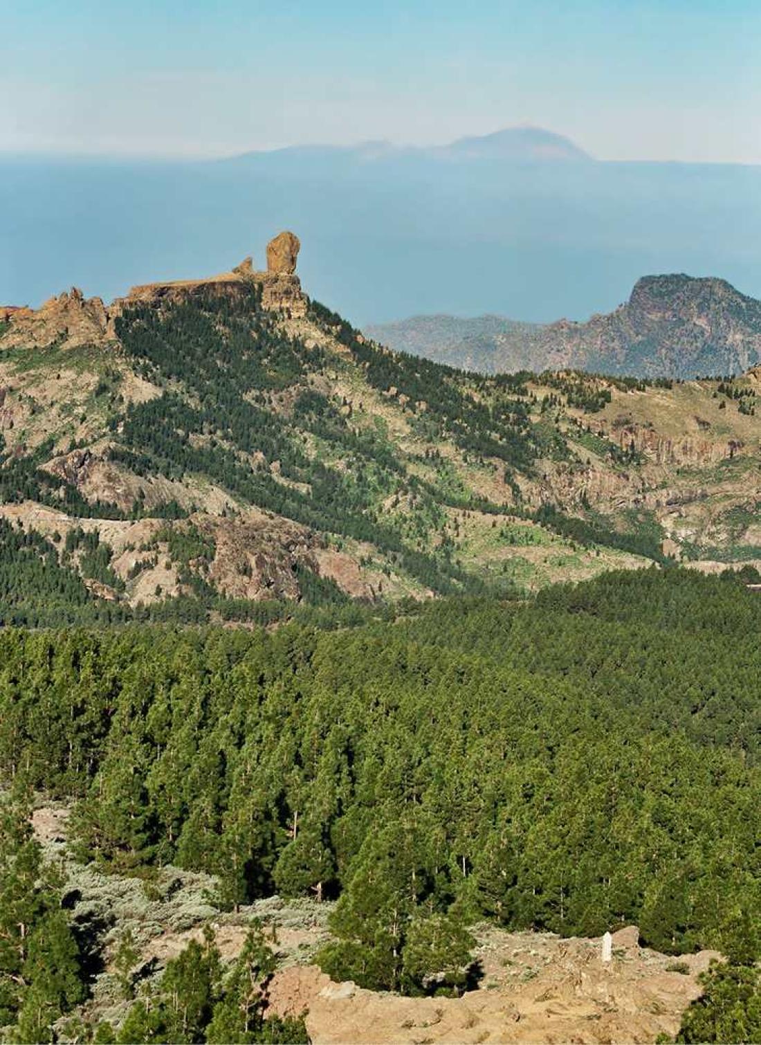 Utsikt mot Roque Nublo fra Pico de Las Nieves Utsikt mot Roque Nublo fra Pico de Las Nieves